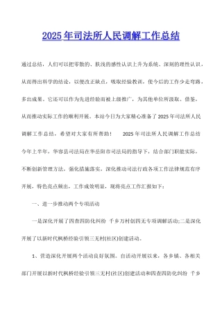 2025年司法所人民调解工作总结