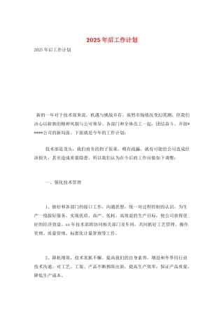 2025年后工作计划
