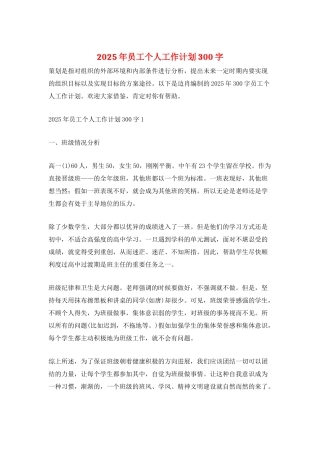 2025年员工个人工作计划300字