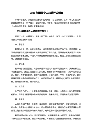 2025年团员个人总结评议例文