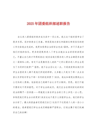 2025年团委组织部述职报告
