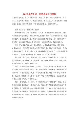 2025年在公司一年的总结工作报告