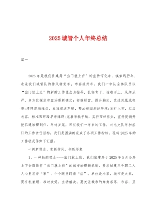 2025年城管个人年终总结