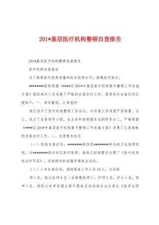 2025年基层医疗机构整顿自查报告