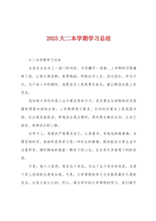 2025年大二本学期学习总结