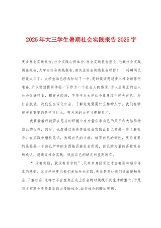 2025年大三学生暑期社会实践报告2025年字