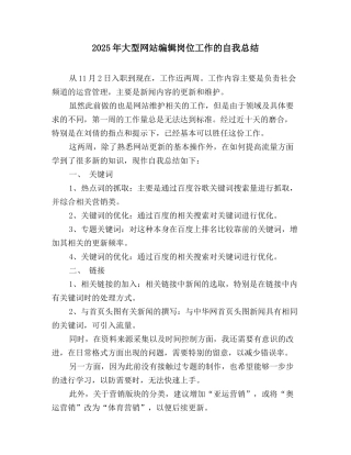 2025年大型网站编辑岗位工作的自我总结