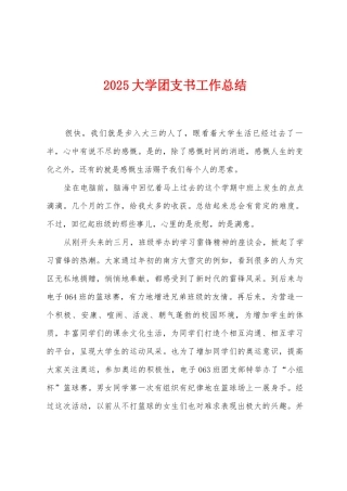 2025年大学团支书工作总结