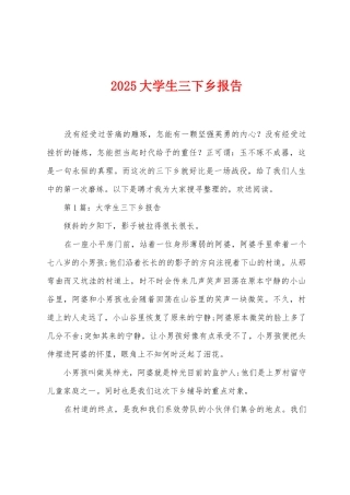 2025年大学生三下乡报告