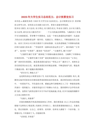 2025年大学生实习总结范文：会计核算室实习