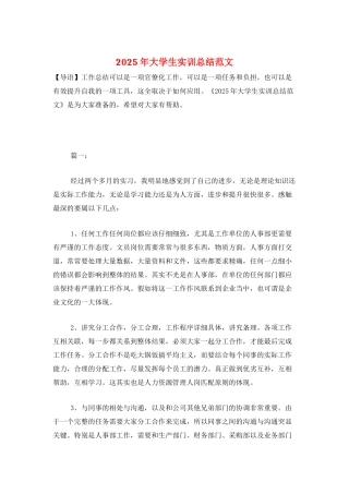 2025年大学生实训总结范文