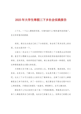 2025年大学生寒假三下乡社会实践报告