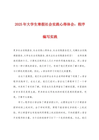2025年大学生寒假社会实践心得体会：程序编写实践