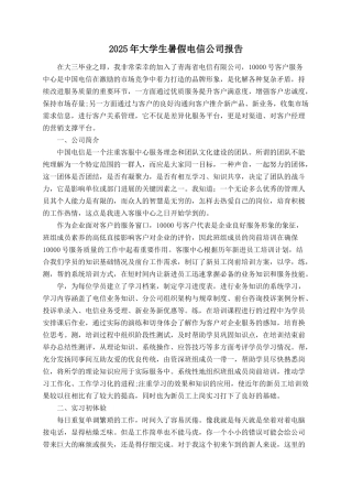 2025年大学生暑假电信公司报告