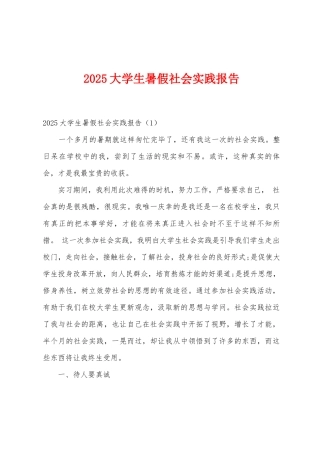 2025年大学生暑假社会实践报告