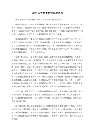 2025年大学生村官年终总结