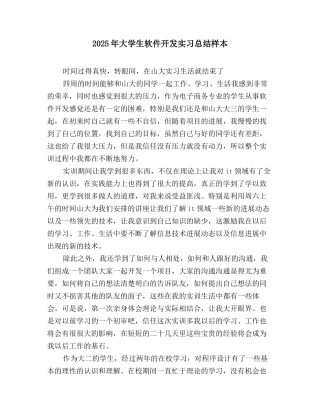 2025年大学生软件开发实习总结样本