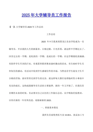 2025年大学辅导员工作报告