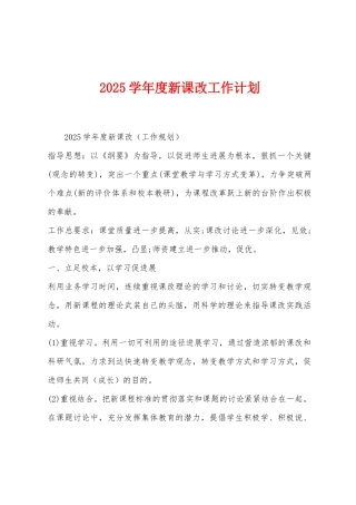 2025年学年度新课改工作计划
