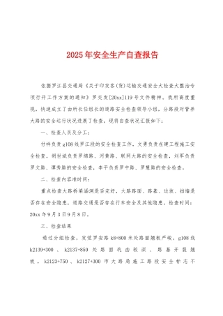 2025年安全生产自查报告