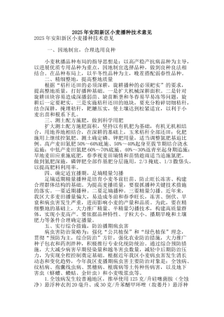 2025年安阳新区小麦播种技术意见
