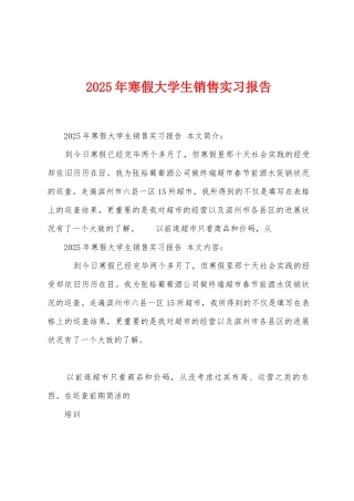 2025年寒假大学生销售实习报告