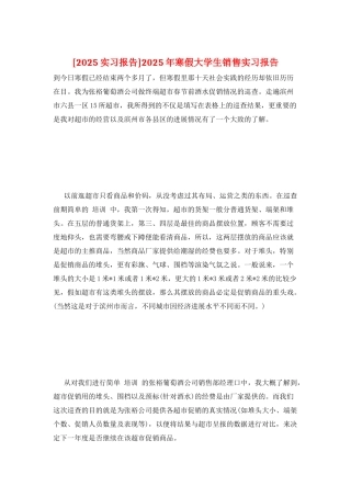 2025年寒假大学生销售实习报告
