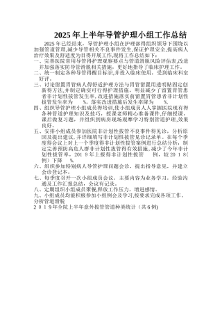 2025年导管护理小组工作总结