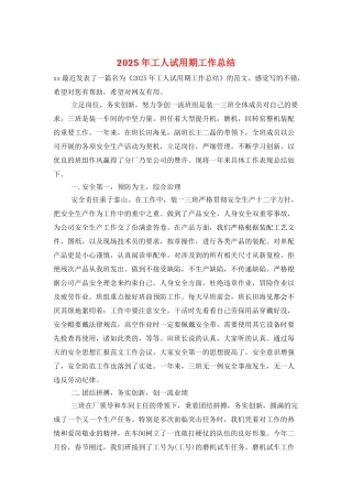 2025年工人试用期工作总结