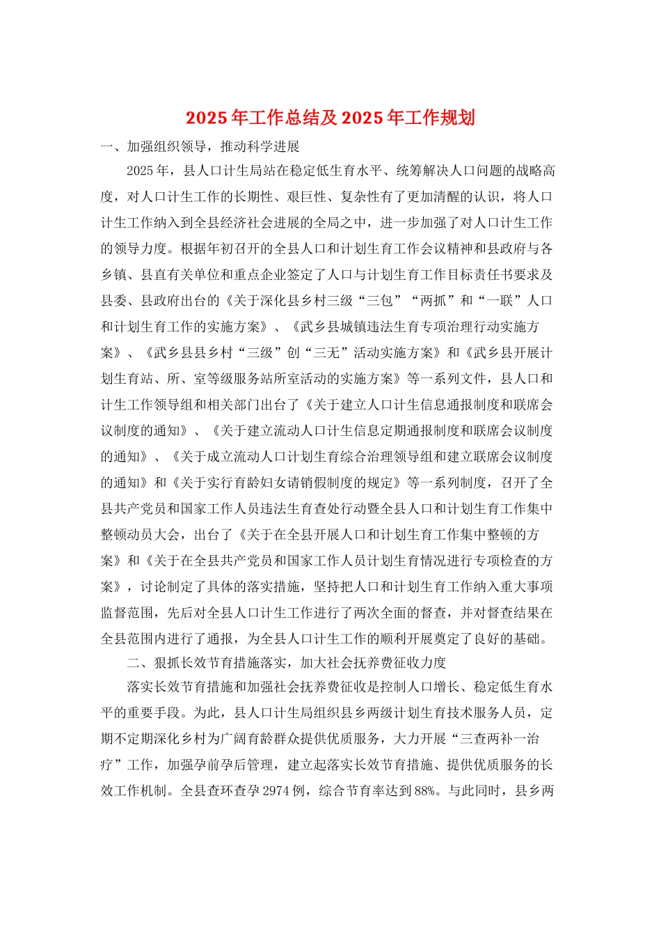2025年工作总结及2025年工作规划_第1页