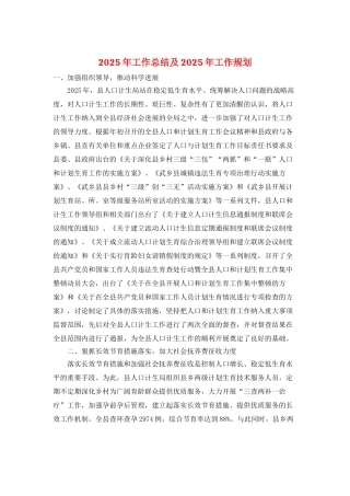 2025年工作总结及2025年工作规划