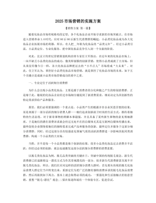 2025年市场营销的实施方案精选