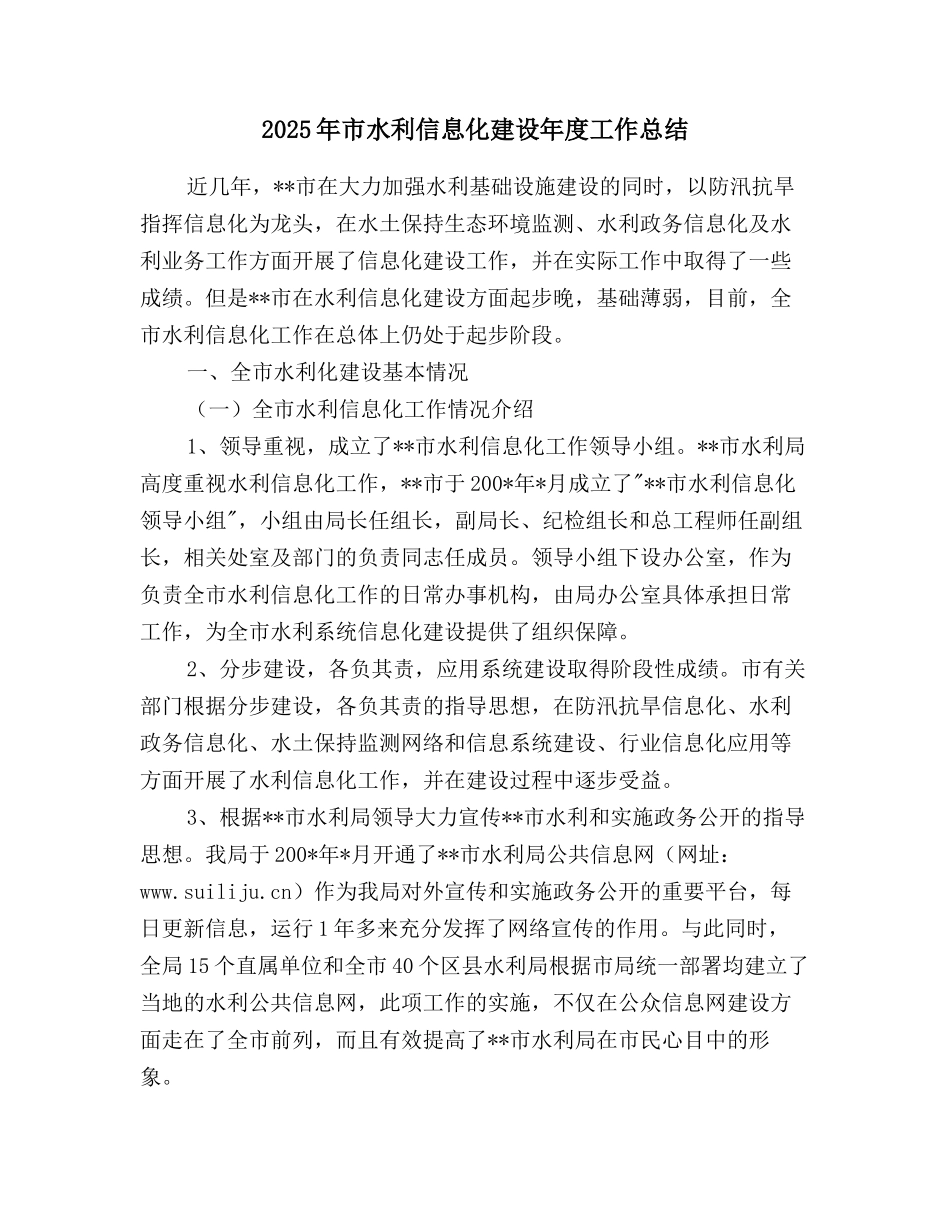 2025年市水利信息化建设年度工作总结_第1页