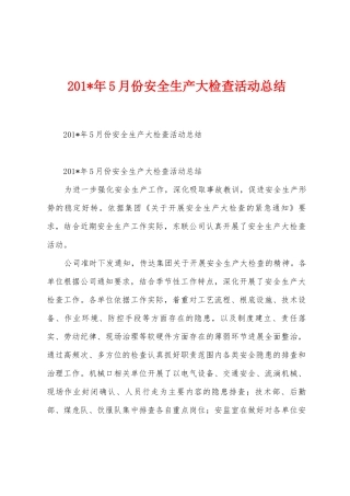 2025年年5月份安全生产大检查活动总结