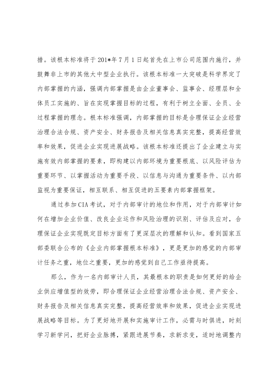 2025年年度审计工作总结_第2页