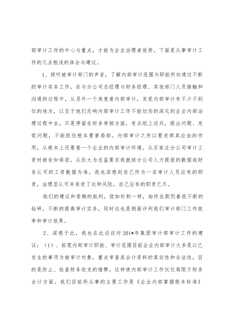 2025年年度审计工作总结_第3页