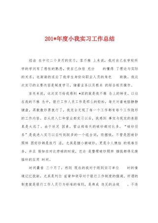 2025年年度小我实习工作总结