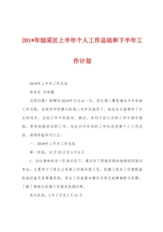 2025年年综采区上半年个人工作总结和下半年工作计划