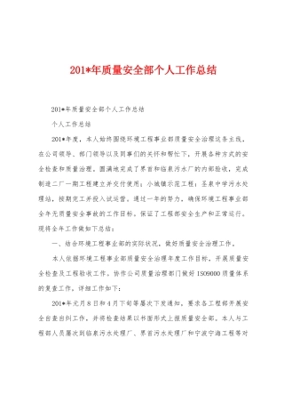 2025年年质量安全部个人工作总结