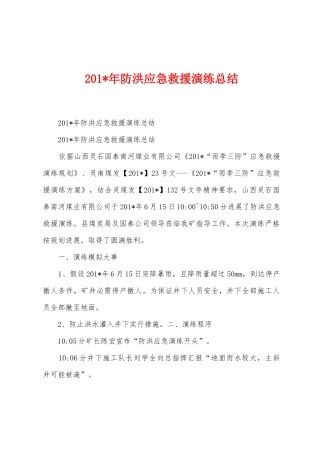 2025年年防洪应急救援演练总结