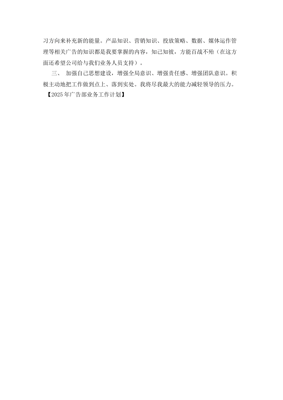 2025年广告部业务工作计划_第2页