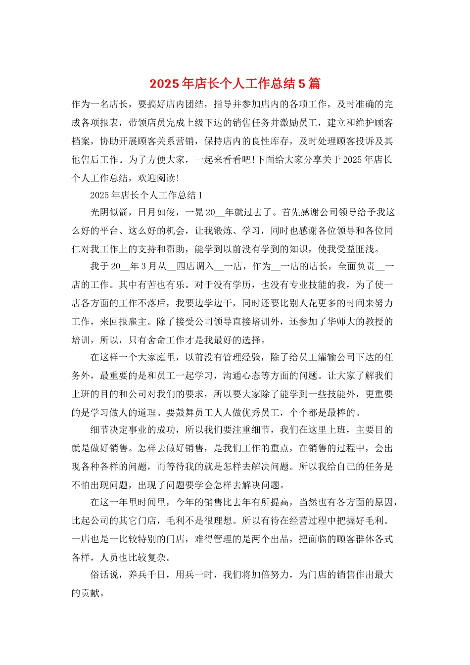 2025年店长个人工作总结5篇_第1页