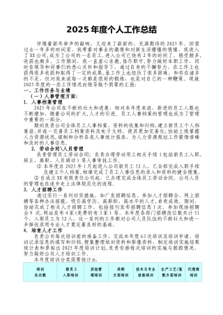 2025年度个人工作总结