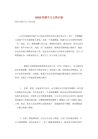 2025年度个人工作计划