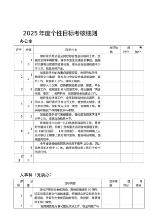 2025年度个性目标考核细则