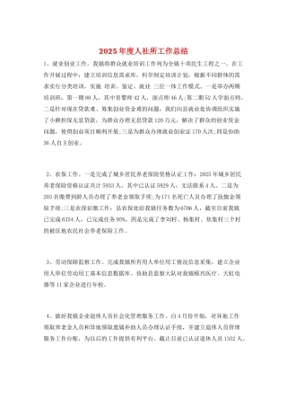 2025年度人社所工作总结