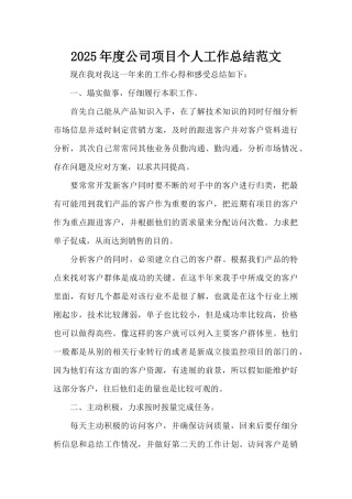 2025年度公司项目个人工作总结范文（精编版）