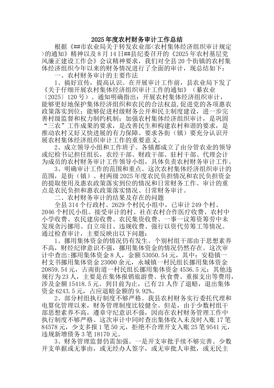 2025年度农村财务审计工作总结_第1页