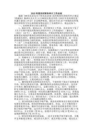 2025年度农村财务审计工作总结