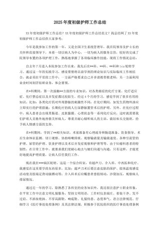 2025年度初级护师工作总结